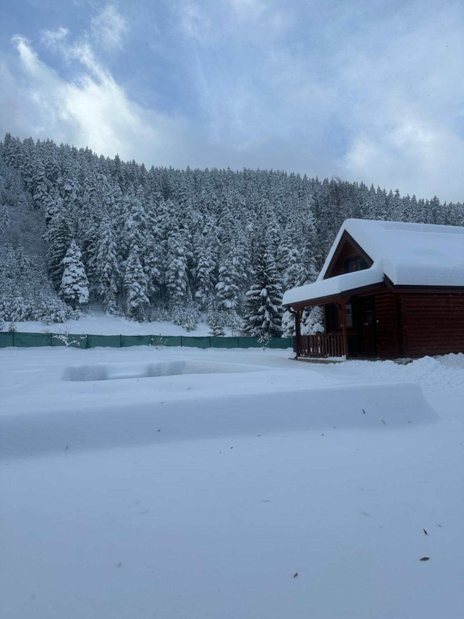 Villa Paradise Beli Iskar Eksteriør billede