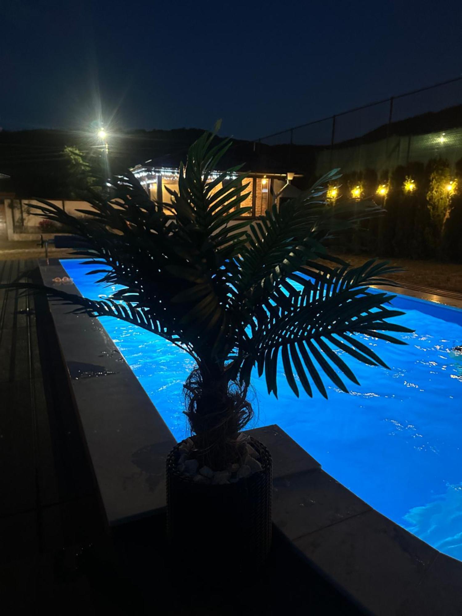 Villa Paradise Beli Iskar Eksteriør billede
